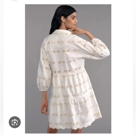 Anthro Maeve Bettina Eyelet Bee Dress - Picture 2 of 8